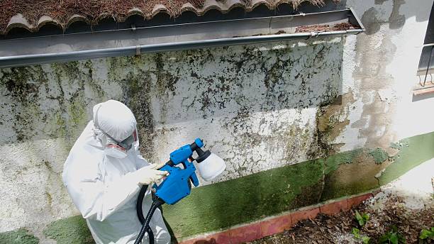 Top rated local Commercial Mold Remediation specialists in Gresham, OR
